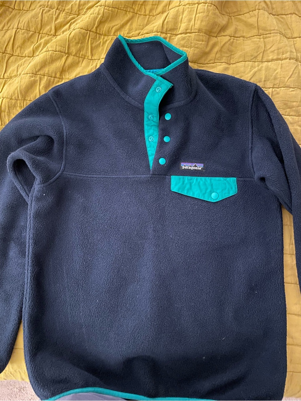 Patagonia Snap T Fleece